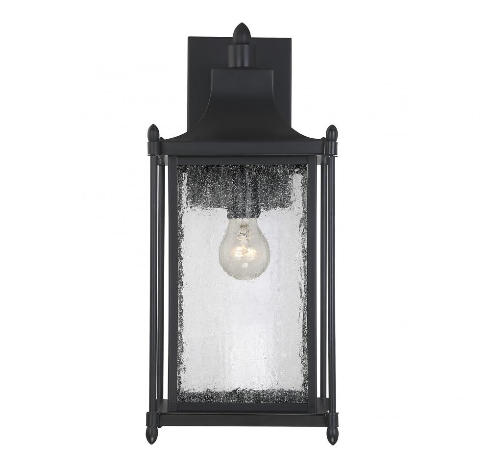 Dunnmore 1-Light Outdoor Wall Lantern in Black