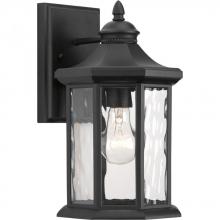 Progress P6071-31 - Edition Collection One-Light Medium Wall Lantern