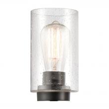 Innovations Lighting G4424 - Paladin Seedy Glass