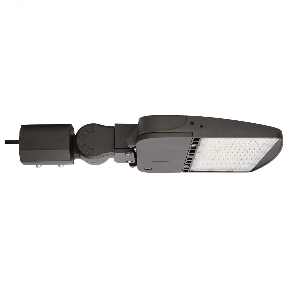 LED Area Light Type IV; 100W; Bronze Finish; 5000K; 120-277V